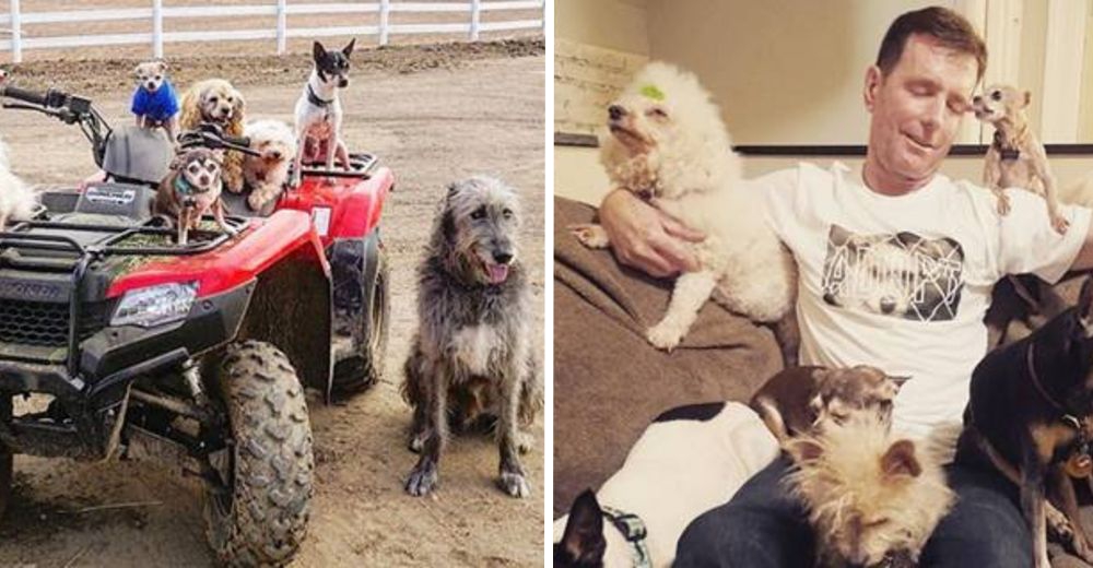 Zoorprendente – En el hogar de este hombre no hay espacio para una sola mascota…