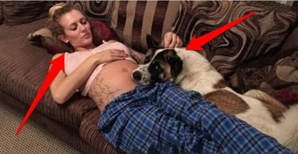 Ella ignoró las recomendaciones de su doctor y sus amigos… pero su perrita le salvó la vida Ella ignoró las recomendaciones de su doctor y sus amigos… pero su perrita le salvó la vida