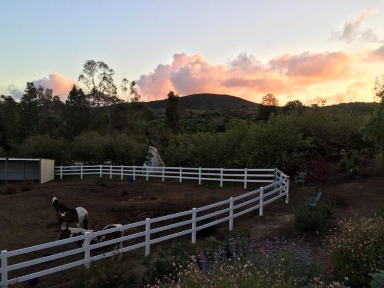 FARM9