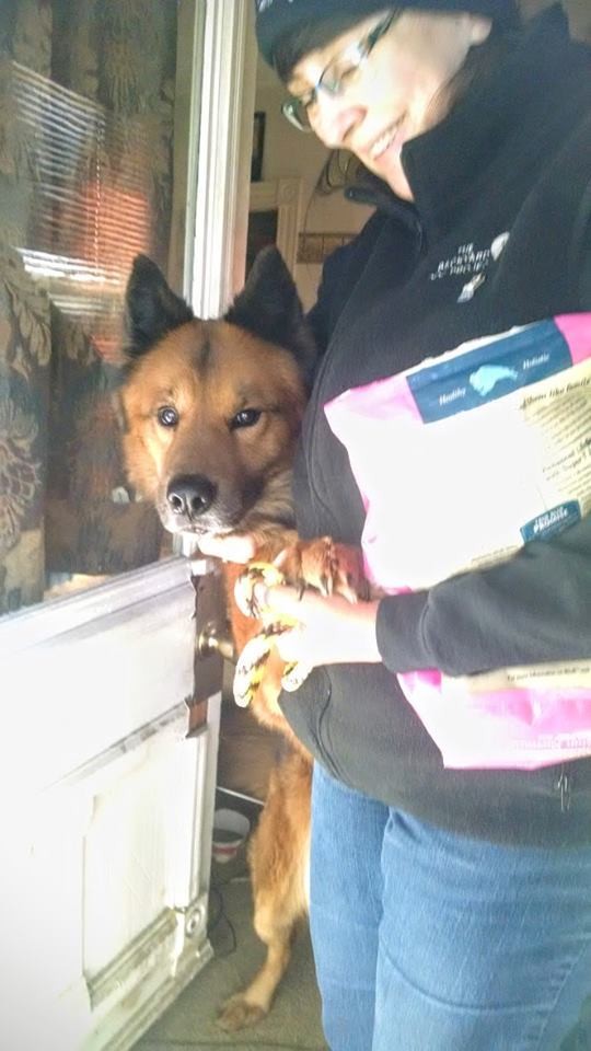 Perro atrapado en un portico 4