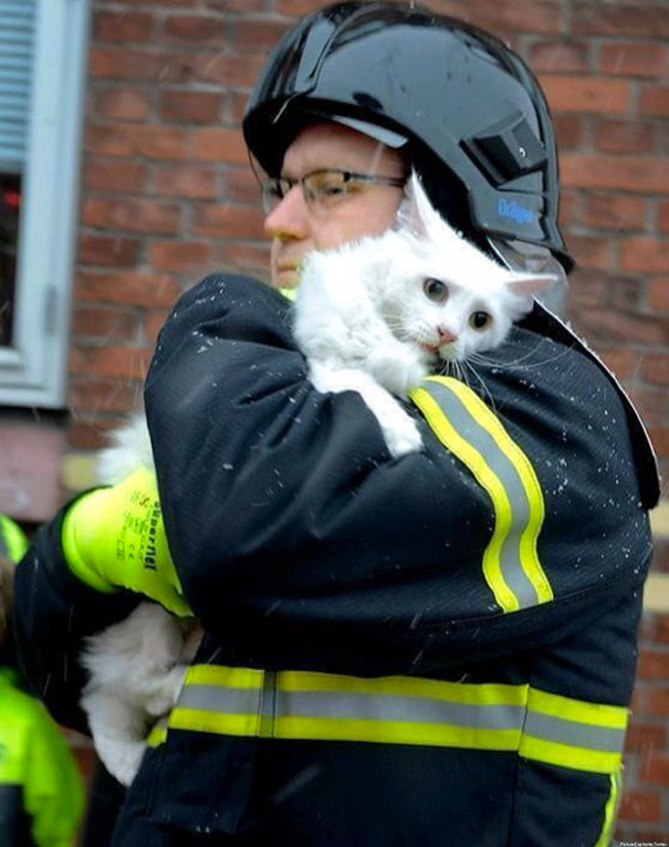 bomberos-rescatan-animales