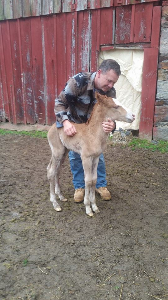 caballo-rechazado-mama-adoptiva2