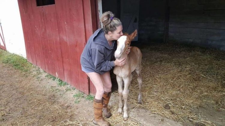 caballo-rechazado-mama-adoptiva9