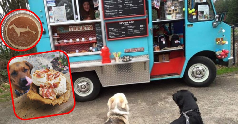 Grandioso – En esta ciudad se pasea un camión de comida para los consentidos de la casa Grandioso – En esta ciudad se pasea un camión de comida para los consentidos de la casa