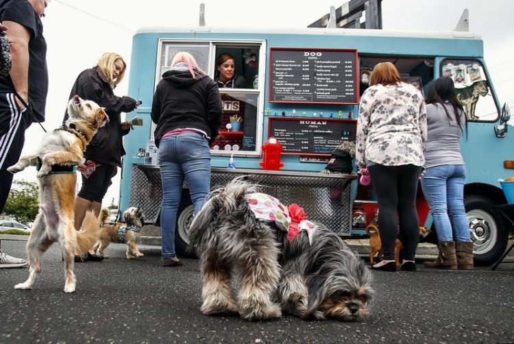 camión de comida para perros washington 1