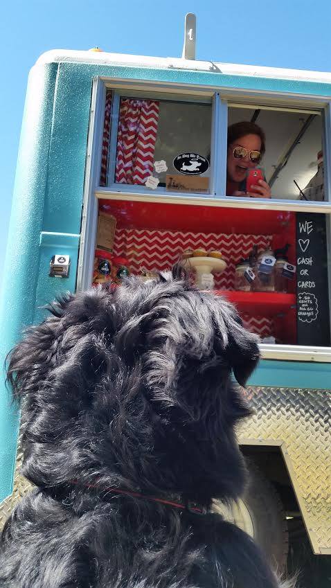 camión de comida para perros washington 15