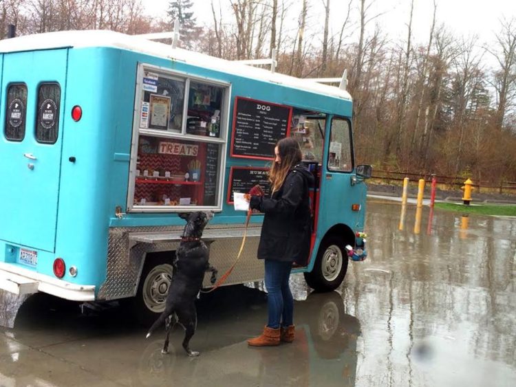 camión de comida para perros washington 19