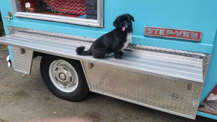 camión de comida para perros washington 26