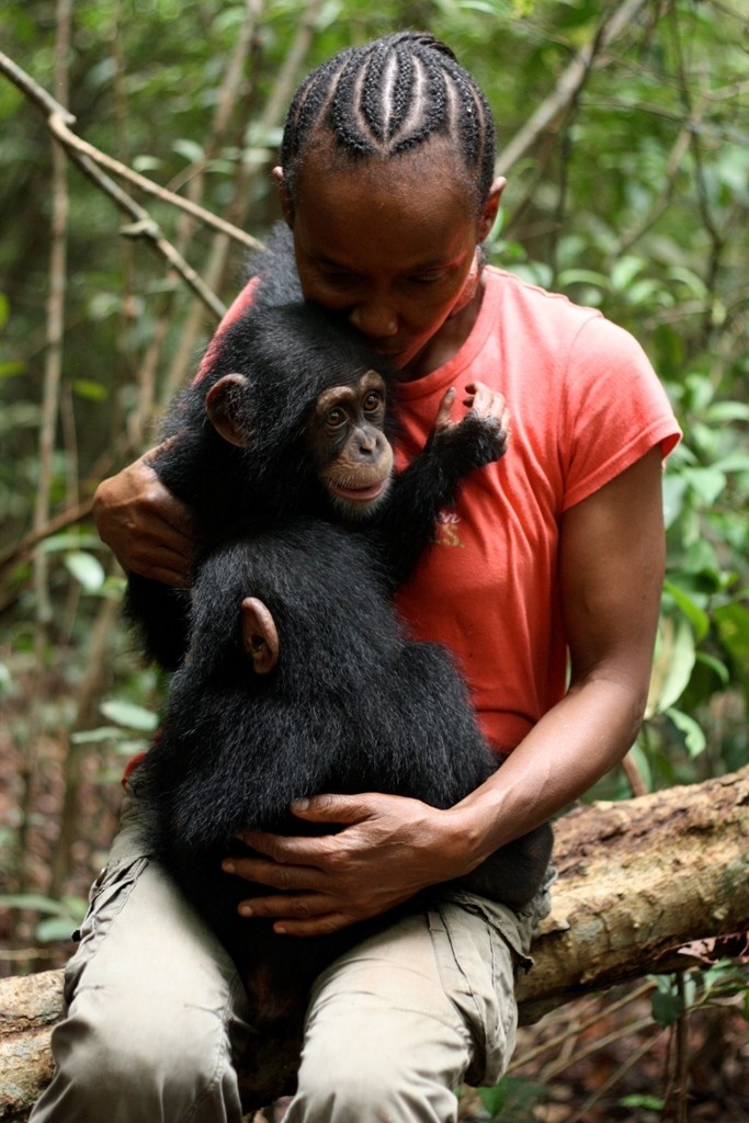 madre-adoptiva-chimpances4