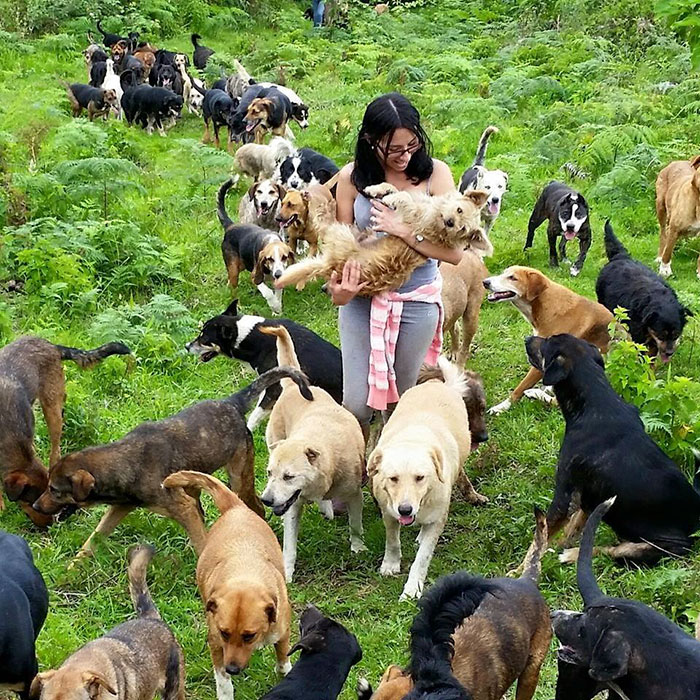 territorio de zaguates costa rica 1