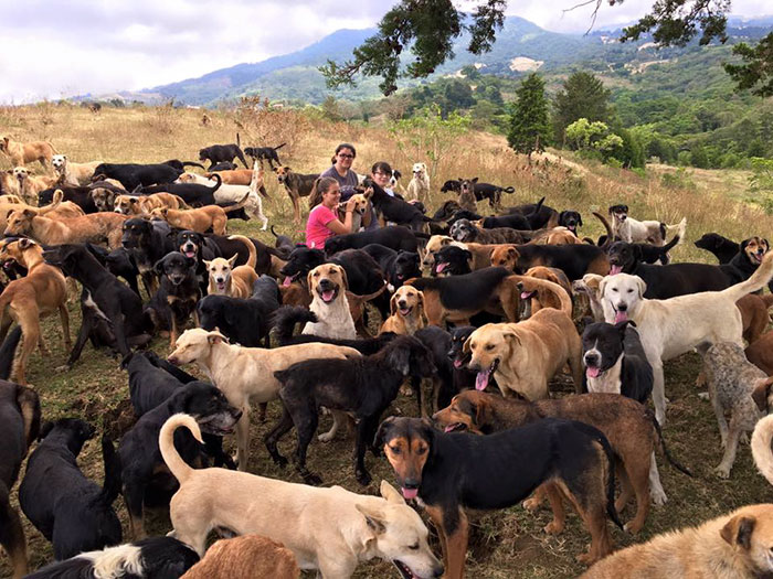 territorio de zaguates costa rica 4