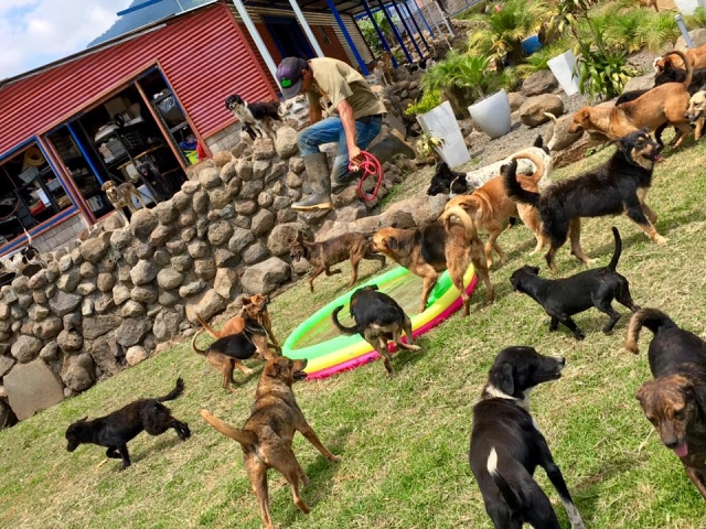 territorio de zaguates costa rica 9