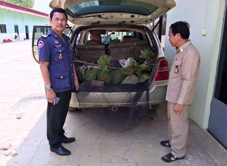 43 monos salvados camboya coche 5