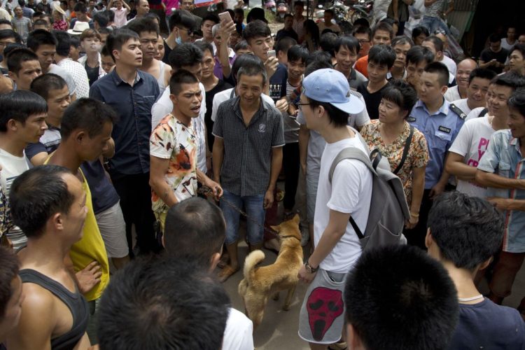 Rescate-perros-festival-china 13