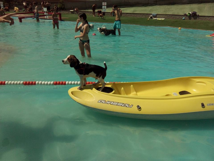 Aquapark-canino 3