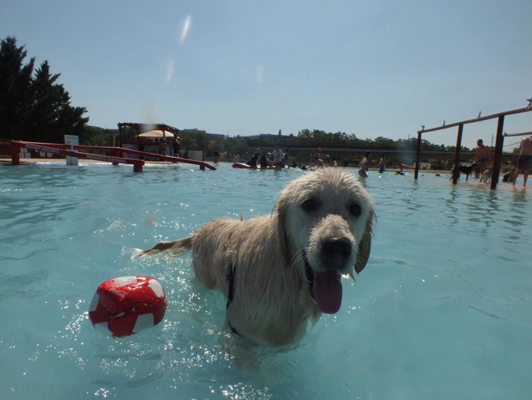 Aquapark-canino 6