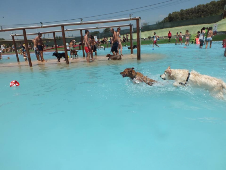 Aquapark-canino 7