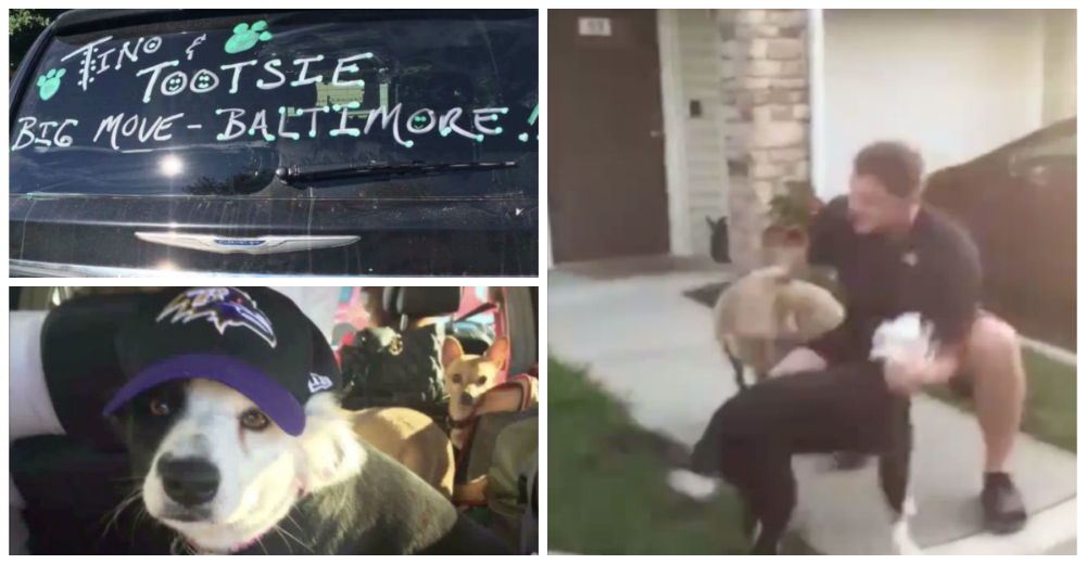 Extrañaba tanto a sus perros que su madre y hermana viajaron más de 3.200 km para reunirlos Extrañaba tanto a sus perros que su madre y hermana viajaron más de 3.200 km para reunirlos