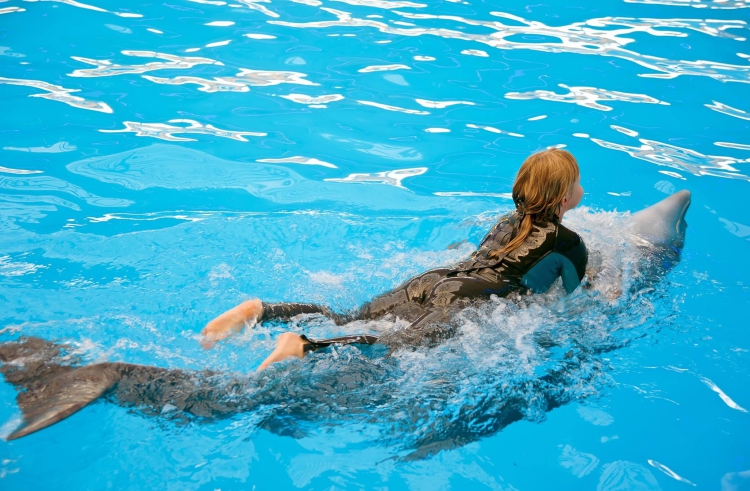 Nadar-con-delfines 3