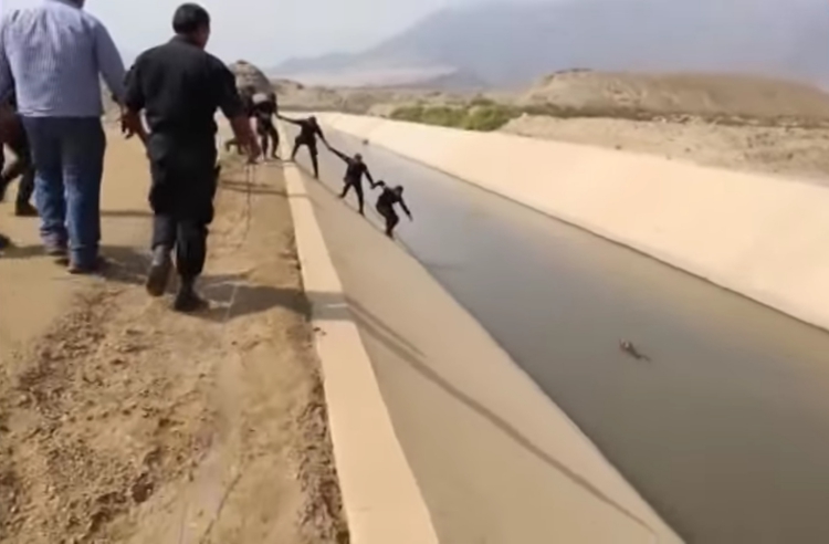 Rescate-perro-canal-Peru 3