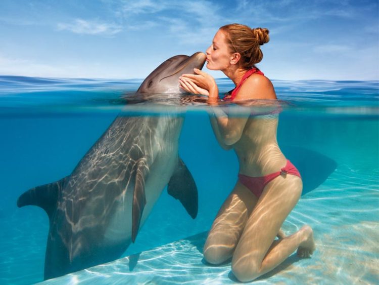 delfines-nadan-hoteles-caribe113