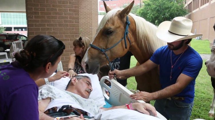 hombre-es-visitado-por-caballos1