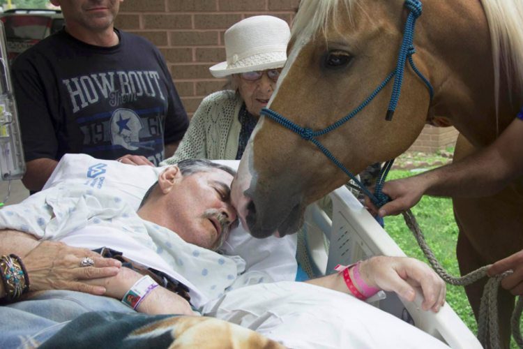 hombre-es-visitado-por-caballos2