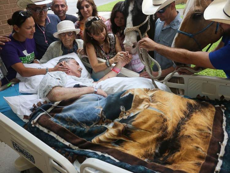 hombre-es-visitado-por-caballos3