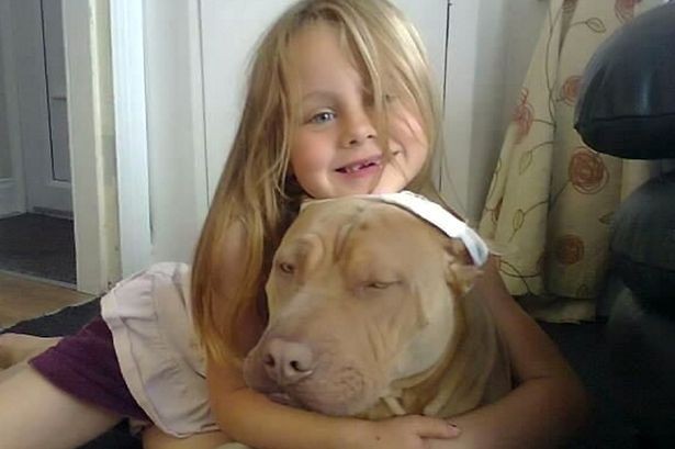 Nena-autismo-pit-bull 7