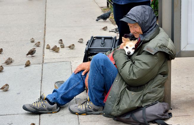 Perros no abandonan a los humanos 18