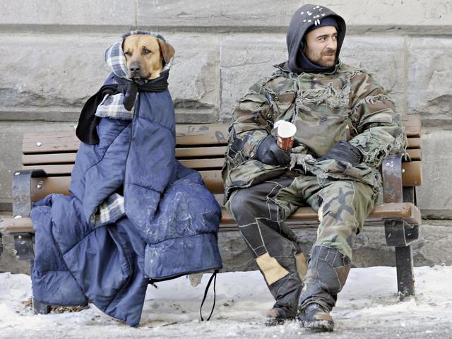 Perros no abandonan a los humanos 20