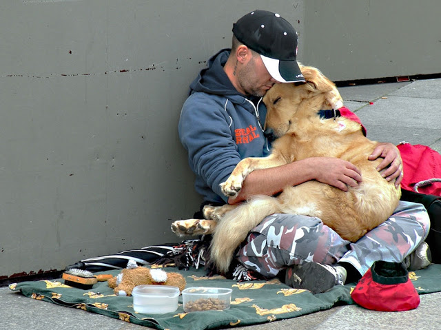 Perros no abandonan a los humanos 25