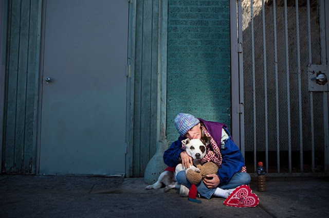 Perros no abandonan a los humanos 36
