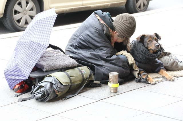 Perros no abandonan a los humanos 39