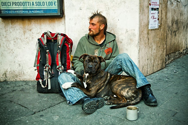 Perros no abandonan a los humanos 40