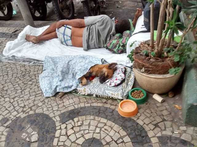 Perros no abandonan a los humanos 43