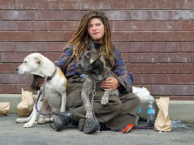 Perros no abandonan a los humanos 45