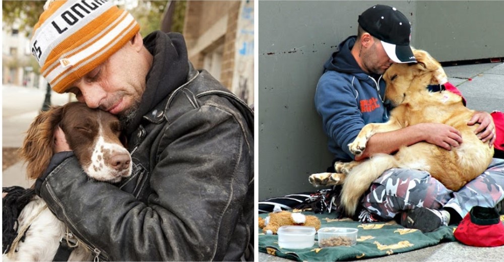 20 fotos que muestran la lealtad de los perros – Jamás nos abandonan, ni en los peores momentos 20 fotos que muestran la lealtad de los perros – Jamás nos abandonan, ni en los peores momentos