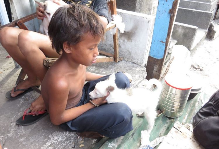 la-mujer-encuentra-el-cementerio-por-completo-de-perros-hambrientos-10