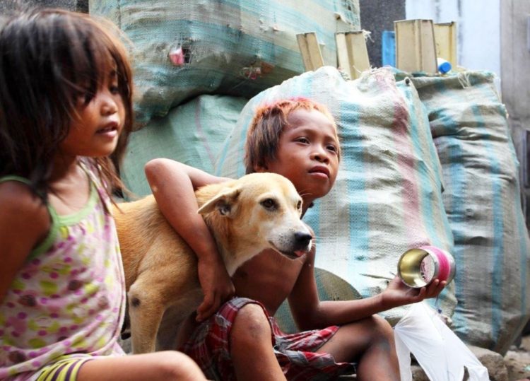 la-mujer-encuentra-el-cementerio-por-completo-de-perros-hambrientos-11