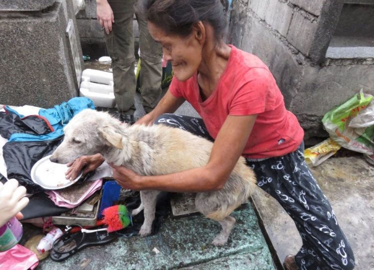 la-mujer-encuentra-el-cementerio-por-completo-de-perros-hambrientos-12