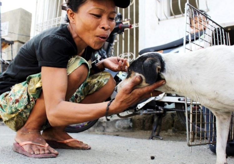 la-mujer-encuentra-el-cementerio-por-completo-de-perros-hambrientos-13