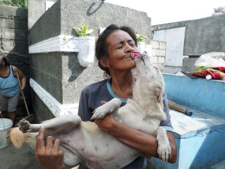 la-mujer-encuentra-el-cementerio-por-completo-de-perros-hambrientos-17