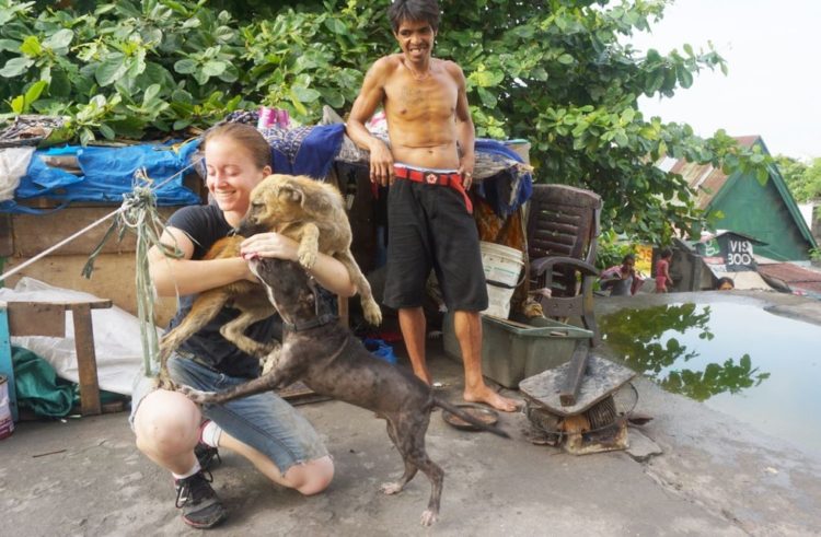 la-mujer-encuentra-el-cementerio-por-completo-de-perros-hambrientos-5