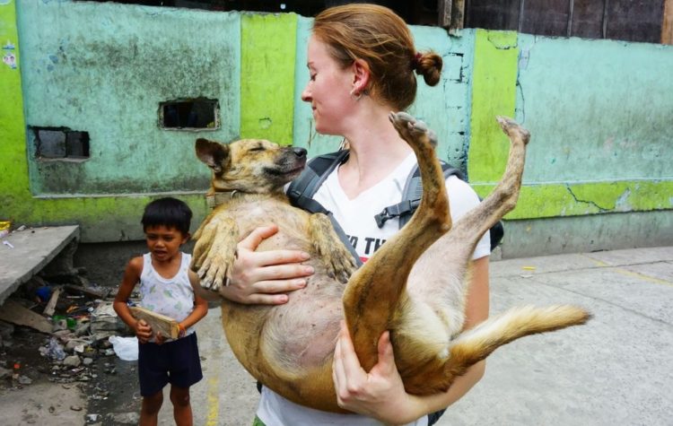 la-mujer-encuentra-el-cementerio-por-completo-de-perros-hambrientos-6