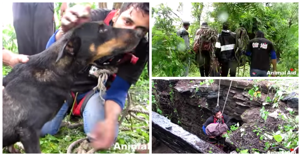 El asombroso rescate de Ruby, la perrita que cayó en un pozo de más de 30 metros de profundidad El asombroso rescate de Ruby, la perrita que cayó en un pozo de más de 30 metros de profundidad