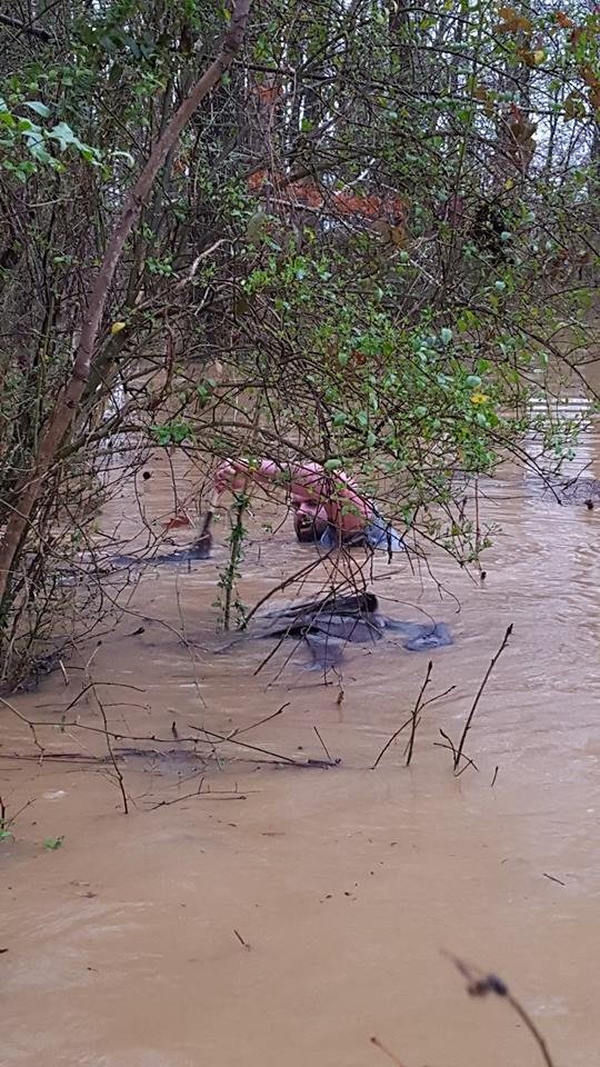 animales-inundacion2