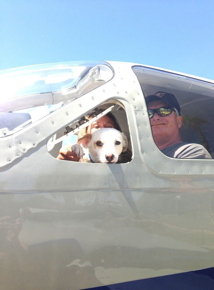 pilotos-voluntarios-salvan-perros-1