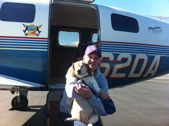 pilotos-voluntarios-salvan-perros-10