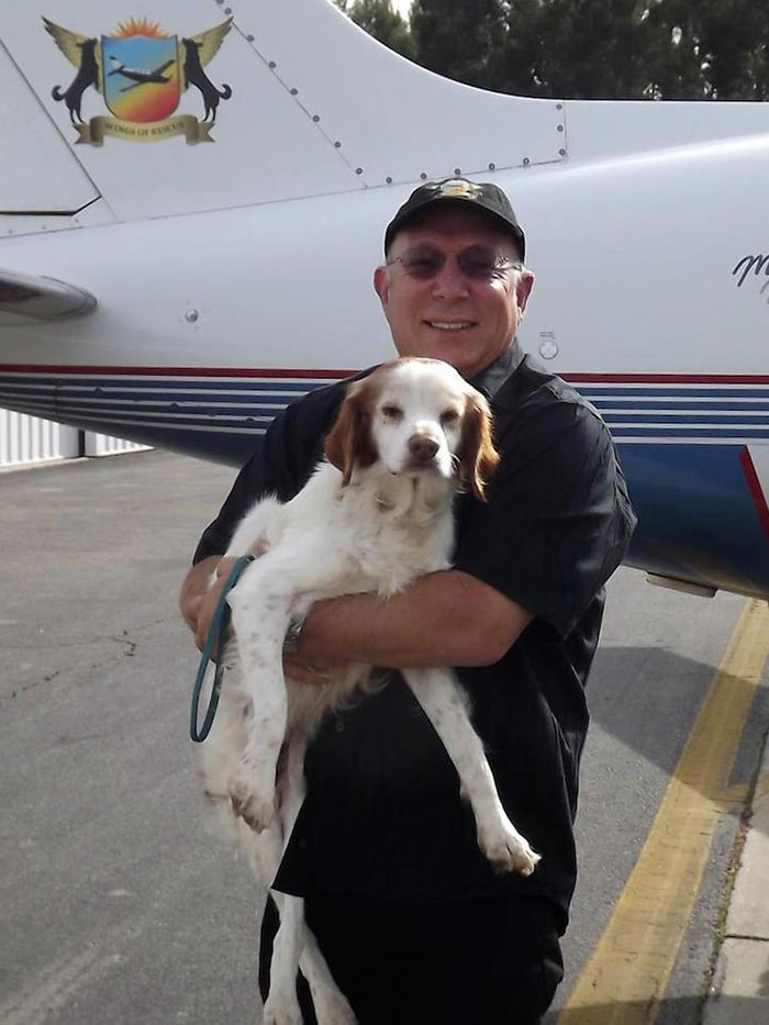 pilotos-voluntarios-salvan-perros-12